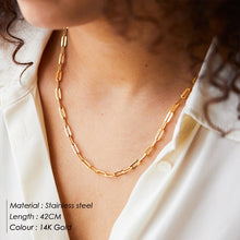 Load image into Gallery viewer, Paperclip Link Chain Necklace