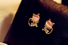Load image into Gallery viewer, Lovely Stainless Steel Cat Earrings for Women (6973924868290)